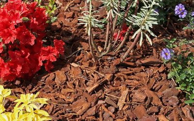 Lay a Proper Bed for Your Garden with Pine Straw and Mulch